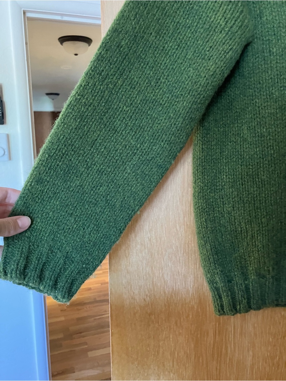 Siskin Coast Cardigan in Forest - PRICE FIRM - Picture 4 of 8